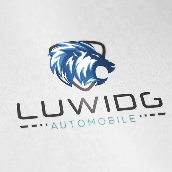 LUDWIDG - Automobile