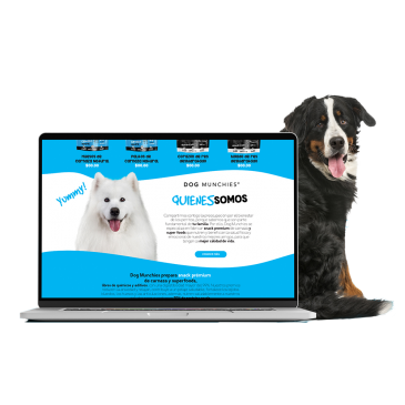  diseño web, desarrollo web, marketing en redes