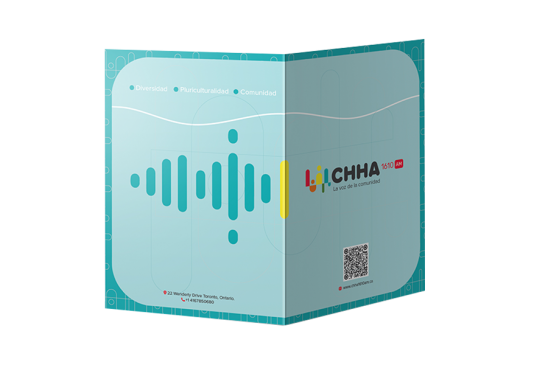 chha, diseño web, guadalajara